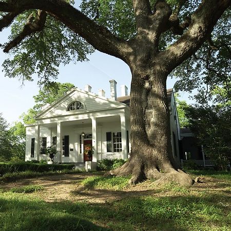 Twin Oaks Inn Natchez Extérieur photo